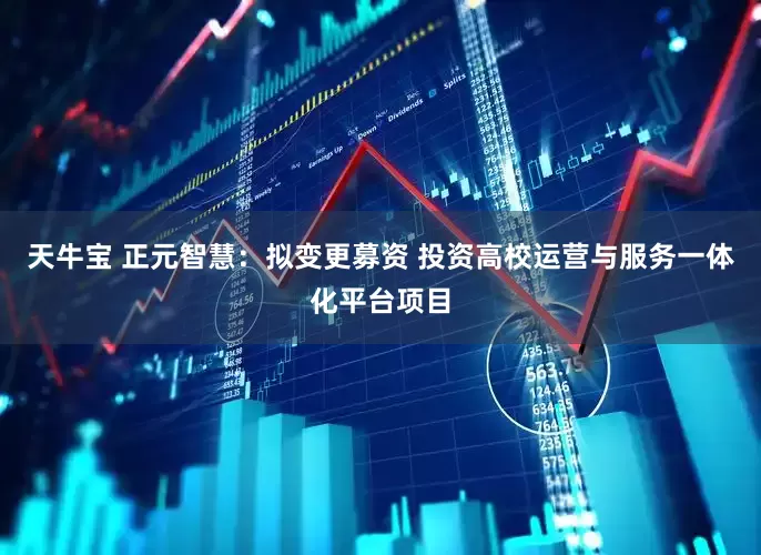 天牛宝 正元智慧：拟变更募资 投资高校运营与服务一体化平台项目