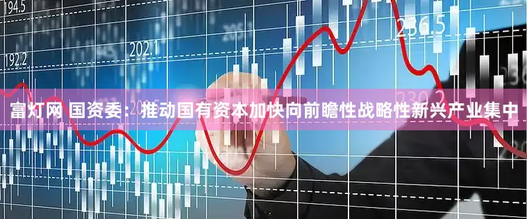 富灯网 国资委：推动国有资本加快向前瞻性战略性新兴产业集中