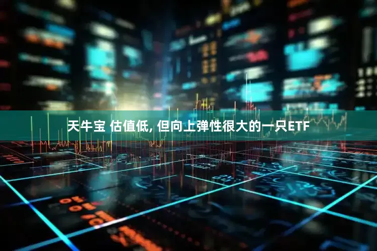 天牛宝 估值低, 但向上弹性很大的一只ETF