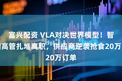 富兴配资 VLA对决世界模型!智驾圈高管扎堆离职,供应商逆袭抢食20万订单